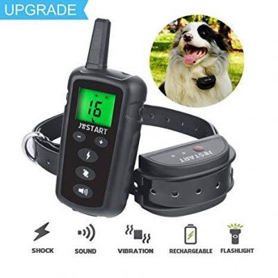 What Is The Best Electric Dog Collar For Training