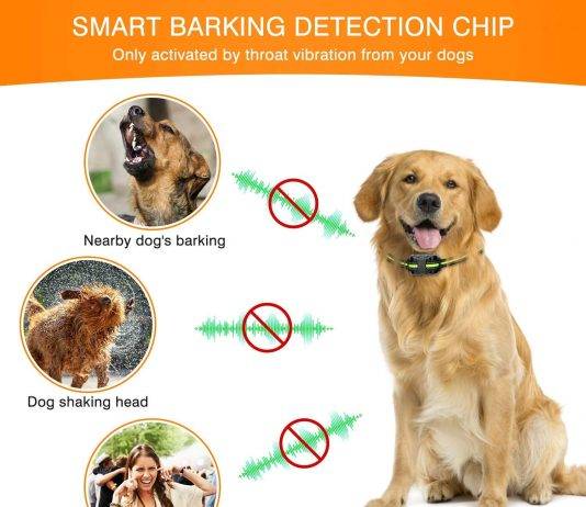 Flittor Shock Collar for Dogs Training Collar Rechargeable Flittor Shock Collar for Dogs