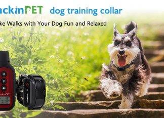 LuckinPET Dog Training Collar Remote Review LuckinPET Dog Training Collar