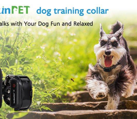 LuckinPET Dog Training Collar Remote Review LuckinPET Dog Training Collar