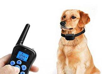 Petrainer Rainproof Dog Training Shock Collar Petrainer PET998DRB1 Rainproof Dog Training Shock Collar with Remote