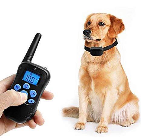 Petrainer Rainproof Dog Training Shock Collar Petrainer PET998DRB1 Rainproof Dog Training Shock Collar with Remote