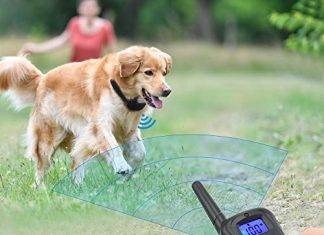 Dog Training Collar Shock with Remote Rechargeable Dog Shock Collar with Remote