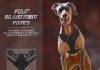 BARKBAY No Pull Dog Harness BARKBAY No Pull Dog Harness Review