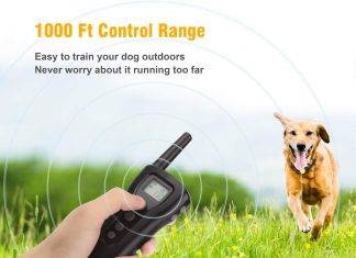 Bousnic Dog Training Collar 2 Dogs Upgrade Bousnic Dog Training Collar 2 Dogs Upgraded Review