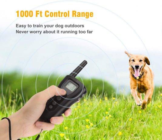 Bousnic Dog Training Collar 2 Dogs Upgrade Bousnic Dog Training Collar 2 Dogs Upgraded Review