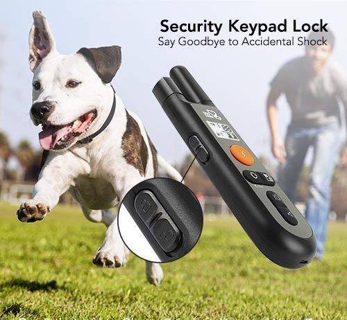 Dog Training Collar Rechargeable Shock Dog Training Collar Rechargeable Dog Shock Collar Review