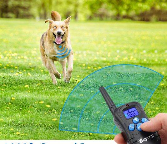 Felyong Dog Training Collar with Remote Felyong Dog Training Collar with Remote – Affordable and Feature Packed