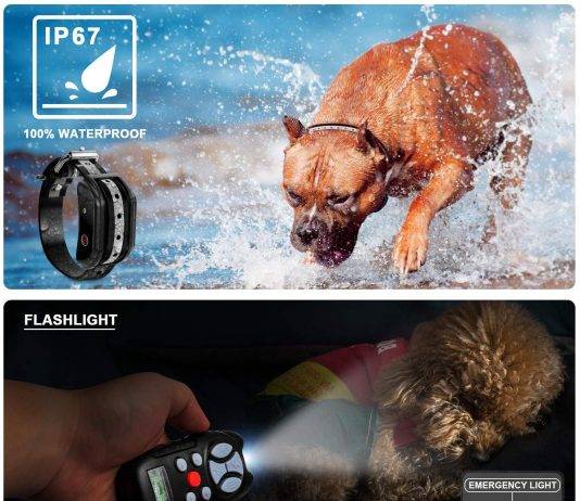 Flittor Shock Collar for Dogs Flittor Shock Collar for Dogs