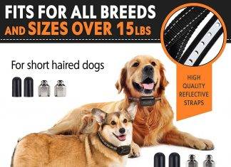 Pawious Bark Collar for Small Dogs Pawious Bark Collar for Small Dogs 1