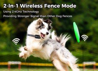 WIEZ Dog Fence Wireless and Training Collar WIEZ Dog Fence Wireless and Training Collar Review