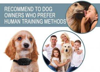 ZENNO No Bark Collar for dogs ZENNO No Bark Collar for dogs Review