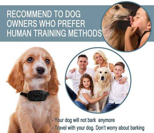 ZENNO No Bark Collar for dogs ZENNO No Bark Collar for dogs Review