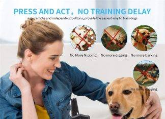 ZENVEY e Collar for Dogs ZENVEY e collar for dogs – Provide Bunch of Quality feature