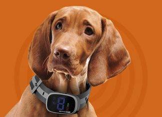 BRISON Dog Bark Collar Beep Vibration BRISON Dog Bark Collar