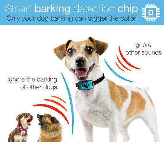 DogRook Bark Collar Review DogRook Bark Collar