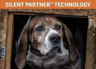 SportDOG Brand NoBark Collars SportDOG Brand NoBark Collars Review