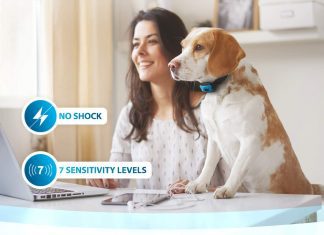 SparklyPets Humane Dog Bark Collar Review SparklyPets HumaneDog Bark Collar 2 Pack REVIEW scaled