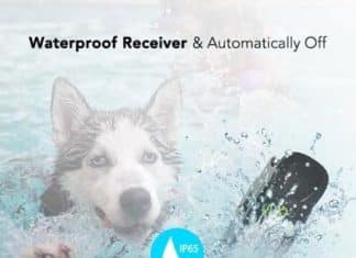 DOG CARE Dog Training Collar – budget Friendly option for every dog trainer DOG CARE Dog Training Collar 2020