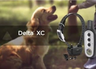 Garmin Dog Training Collars Delta Sports XC Garmin dog training collars Delta Sport XC