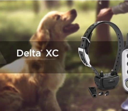 Garmin Dog Training Collars Delta Sports XC Garmin dog training collars Delta Sport XC