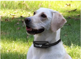 Havahart Wireless Dog Fence Radial Havahart Wireless Dog fence