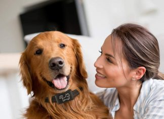 Mitoo Anti Bark Collar Mitoo Anti Bark Collar Review