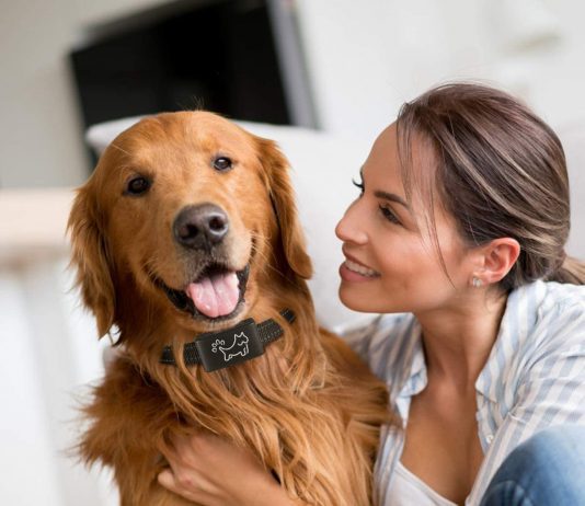 Mitoo Anti Bark Collar Mitoo Anti Bark Collar Review