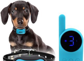 Shock Collar For 4lb Dog Shock collar for 4lb dog