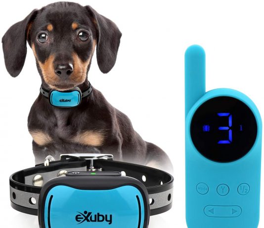 Shock Collar For 4lb Dog Shock collar for 4lb dog