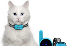 Exuby Tiny Shock Collar for Cats Exuby Tiny Shock Collar for Cats