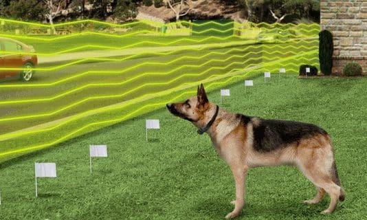Best Wireless Dog Fence in 2023 Best Wireless Dog Fence in 2021