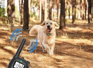 Besthing Dog Training Collar Besthing Dog Training Collar