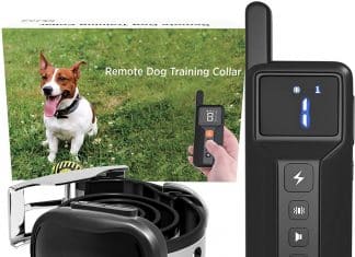 Enrivik Small Size Dog Training Collar Review ENRIVIK Small Size Dog Training Collar