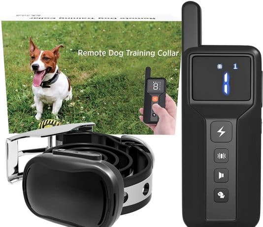 Enrivik Small Size Dog Training Collar Review ENRIVIK Small Size Dog Training Collar