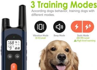 What Are NVK Training Collars And Should You Buy Them For Your Dog? NVK Shock Collars for Dogs