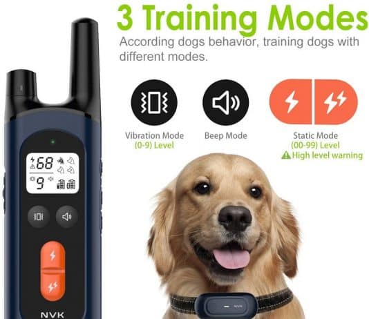 What Are NVK Training Collars And Should You Buy Them For Your Dog? NVK Shock Collars for Dogs