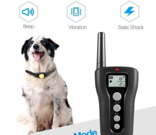 PATPET Dog Training Collar with Remote PATPET Dog Training Collar with Remote