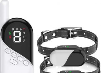 Pumila Small Dog Bark Collar Review Pumila Small Dog Bark Collar