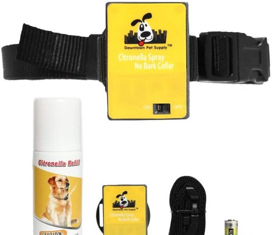 Downtown Pet Supply Citronella Spray Collar Downtown Pet Supply Citronella Spray Collar