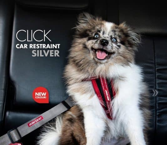 EZYDOG Click Adjustable Car Restraint Review EZYDOG Click Adjustable Car Restraint Review