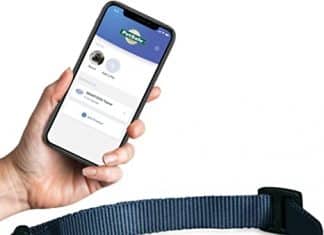 What is a wifi shock collar, and what do they do? Wifi Shock Collar