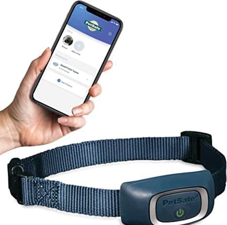 What is a wifi shock collar, and what do they do? Wifi Shock Collar