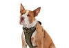 Best Kong Dog Harness Buying Guide kong max ultra durable neoprene padded chest plate dog harness offered by the