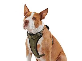 Best Kong Dog Harness Buying Guide kong max ultra durable neoprene padded chest plate dog harness offered by the