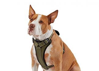 Best Kong Dog Harness Buying Guide kong max ultra durable neoprene padded chest plate dog harness offered by the