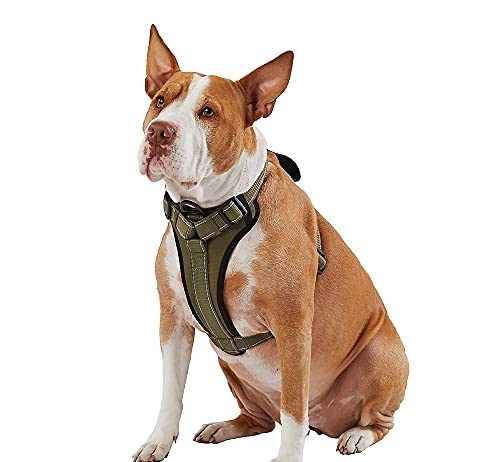 Best Kong Dog Harness Buying Guide kong max ultra durable neoprene padded chest plate dog harness offered by the