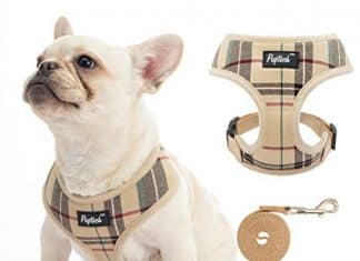 Best Dog Harness For French Bulldog Our Top Picks pupteck soft mesh dog harness pet puppy comfort padded vest no pull harnesses