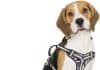 Bolux Dog Harness No-Pull Reflective Bolux Dog Harness No Pull Reflective