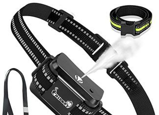 Best Bark Citronella Dog Collar Buying Guide citronella bark collar for dogs spray dog training collar no include